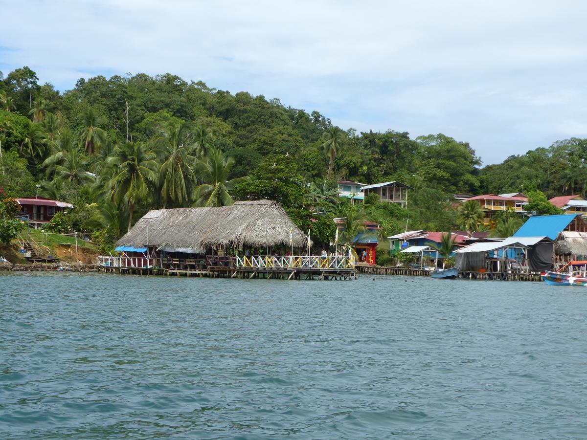 Hotel Caribbean View 2*