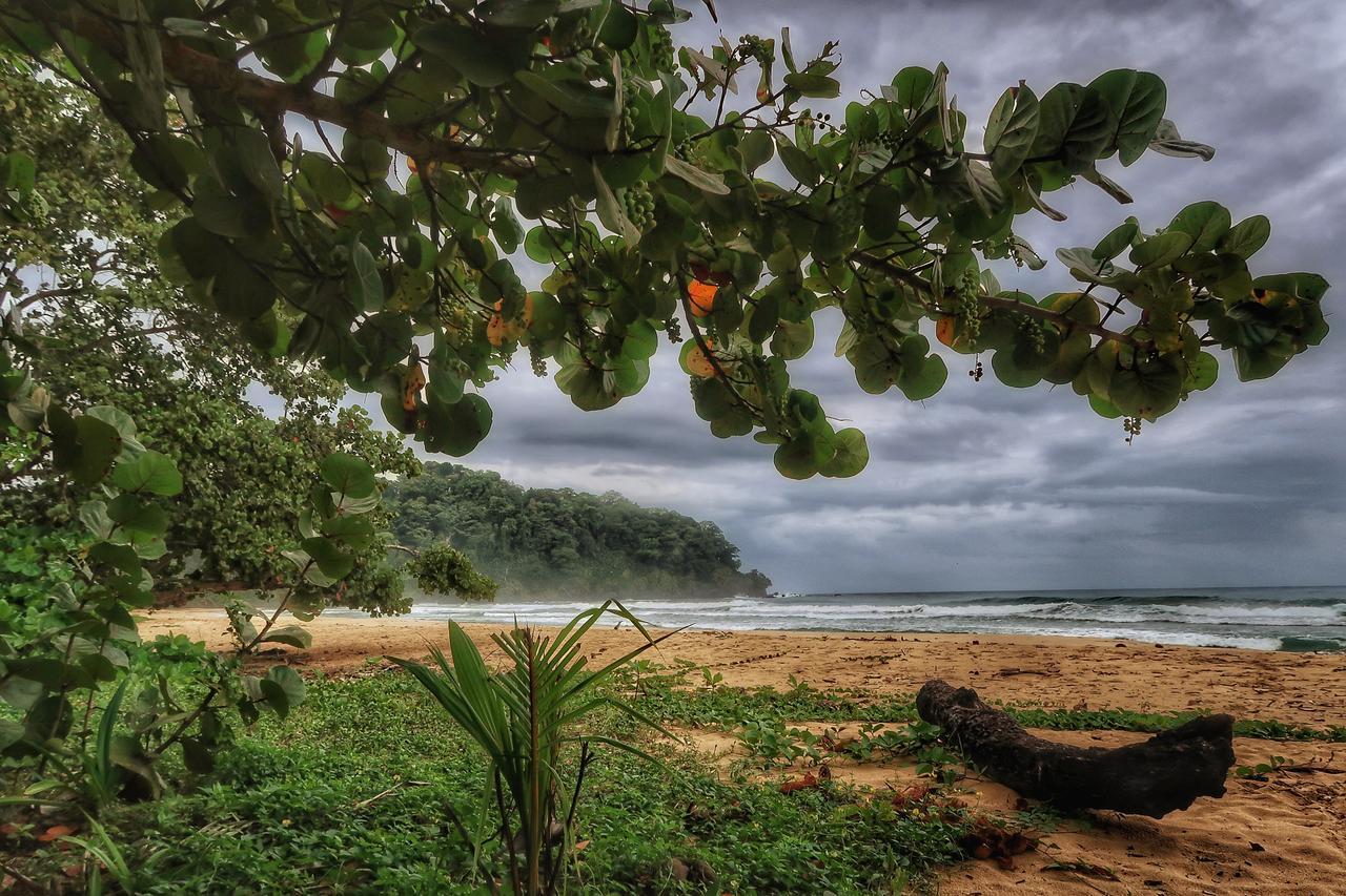 Caribbean View 2*